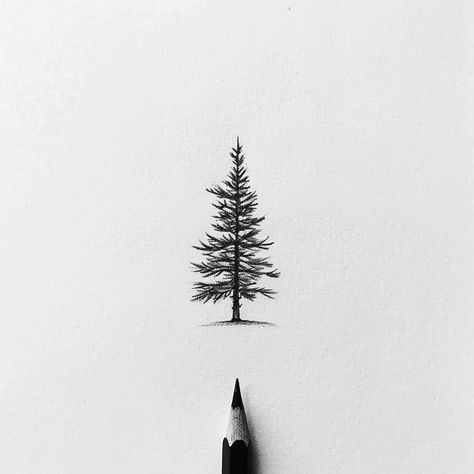 Pine Tattoo Design, Wa State Tattoo, Tree And Birds Tattoo, Fir Tree Tattoos, Juniper Tree Tattoo, Tree Tattoo Sketch, Nerve Tattoo, Fine Line Pine Tree Tattoo, Simple Pine Tree Tattoo