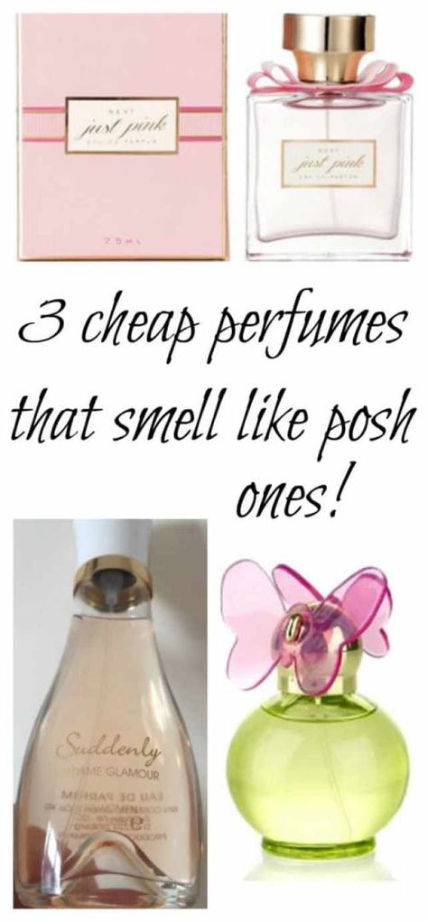 Target Fragrance, Cheap Perfumes That Smell Expensive, Cheap Perfume That Smells Good, Best Affordable Perfumes, Best Cheap Perfume, Frosty Recipe, Cheap Perfume, Lovely Perfume, Skin Advice