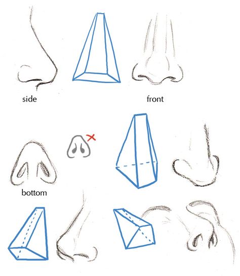 Types Of Nose, Menswear Design, رسم كاريكاتير, 얼굴 드로잉, Nose Drawing, Human Anatomy Drawing, 얼굴 그리기, Human Figure Drawing, Human Anatomy Art