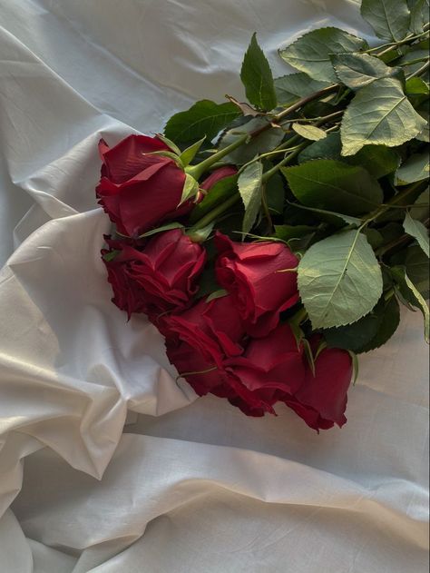 Red rose | Flower therapy, Beautiful bouquet of flowers, Beautiful rose flowers Red Roses Aesthetic Bouquet, Soft Flowers Aesthetic, 5 Roses Bouquet, Bouquet Of Red Roses Aesthetic, Bouquet Of Roses Aesthetic, Rose Flower Aesthetic Red, Red Floral Aesthetic, Rose Aesthetic Flower, Red Rose Bouquet Aesthetic