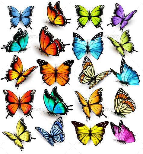 Collection of Colorful Butterflies #Collection, #Colorful, #Butterflies Butterfly Drawing With Color, Colored Butterfly Tattoo, Coloring Butterflies, Butterfly Tattoo Color, Butterfly Colorful, Butterfly Art Drawing, Colored Butterfly, Vintage Clipart, Birds And Butterflies