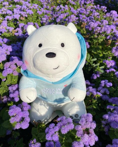 Adorable Stuffed Animals, Book Cover Art Ideas, Stuff Toys, Feed Goals, Ice Bears, We Bare Bears, Bare Bears, Teddy Bear Plush, Cute Stuffed Animals