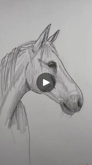 2.7K views · 99 reactions | #drawing #art #artist #sketch #illustration #artwork #draw #digitalart #painting #artistsoninstagram #sketchbook #fanart #drawings #instaart #anime #artoftheday #arte #love #design #portrait #sketching #digitaldrawing #ink #pencildrawing | Drawing Vd | Drawing Vd · Original audio Sketching Horses Pencil, Drawing Ideas With Tutorial, Draw Horses Easy, Sketching For Beginners Pencil, Easy Drawings Horse, Pencil Drawings Easy For Beginners, How To Sketch A Horse, Drawing Horses Easy, Easy Drawings Sketches Ideas