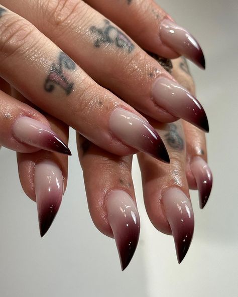 MIRRORS (@srorrim.mirrors) • Instagram photos and videos Werewolf Acrylic Nails, Werewolf Nails Acrylic, Claw Nails Aesthetic, Typing With Long Nails, Dirty Nails Aesthetic, Vampire Stiletto Nails, Vampire Aura Nails, Cat Claws Nails, Goth Glam Nails