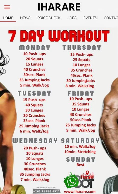 Day Workout Plan, 7 Day Workout Plan, Everyday Workouts, 7 Day Workout, Hey Brother, Beginner Workouts, Gym Workout Program, Weekly Workout Plans, Daily Workout Plan