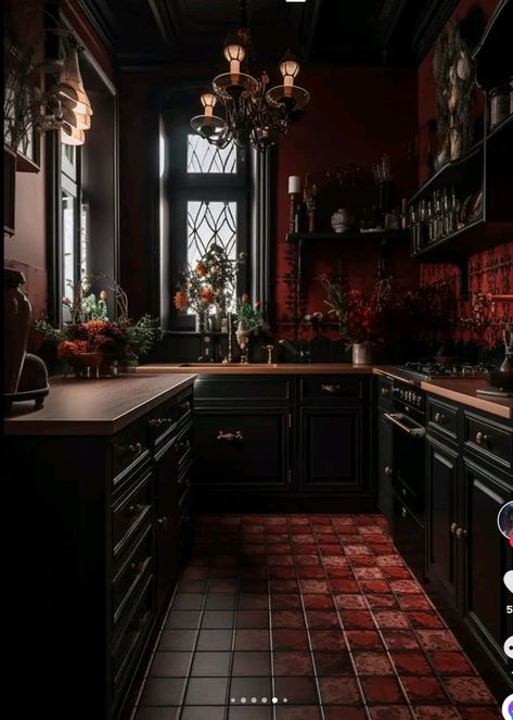 Whimsigoth Room, Black Kitchen Ideas, Goth Kitchen, Goth Houses, Gothic Kitchen, Kitchen Ideas Dark Cabinets, Kitchen Ideas Dark, Dark Home Decor, Dark Kitchen