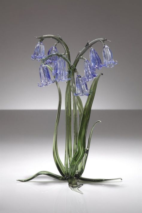 Bluebells – Sandra Young Glass Bluebell Wedding, Crafting Table, Dinny Hall, Alien Plants, Swarovski Crystal Figurines, Glass Painting Patterns, Unique Glassware, Blue Bell Flowers, Fused Glass Artwork