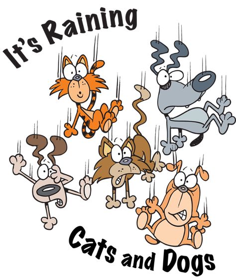 It's Raining Cats and Dogs here!! - Mommies Reviews Cold Weather Funny, It's Raining Cats And Dogs, Good Morning Rainy Day, Dog Clip Art, Good Morning Funny Pictures, Dogs Laughing, Cat Humor, Cat Jokes, Dc Comics Wallpaper