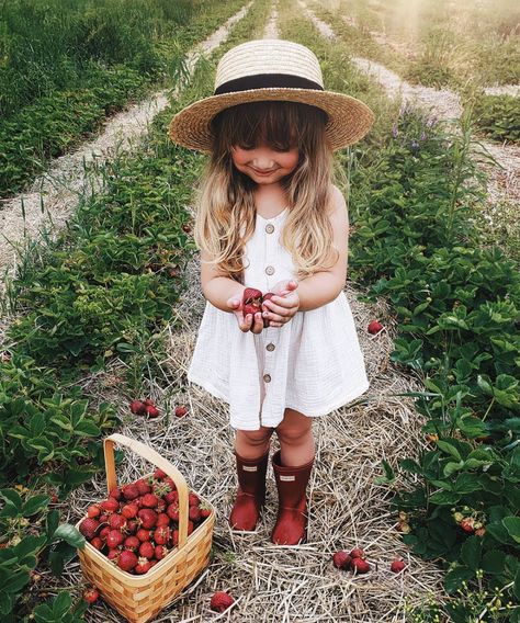 Strawberry Picking Photography, Strawberry Picking Pictures, Strawberry Picking Outfit, Strawberry Pictures, Princess Shot, Strawberry Cottage, Toddler Photoshoot, Psalm 127, Strawberry Farm