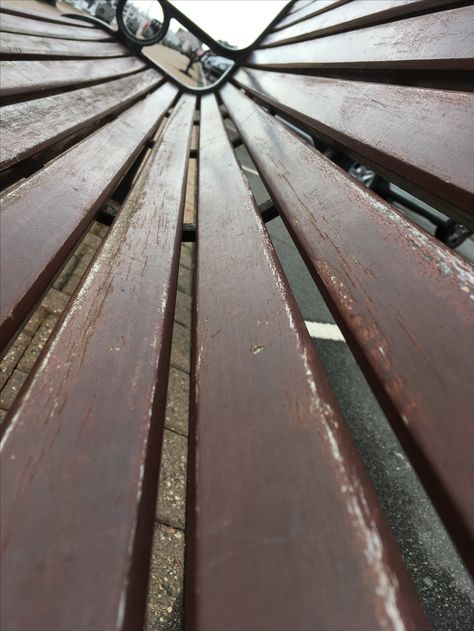 Line - I really like this picture as the vertical lines made by the wooden planks of the bench leads the viewer through the foreground and into the background. Lead Lines Photography, Vertical Lines Photography, Leading Lines Photography, Medical Projects, Idea Photography, Vertical Angles, Leading Lines, Line Photography, Line Photo