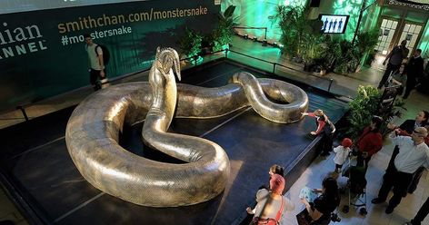 Pool Noodle Snake, World's Largest Snake, Giant Dragonfly, Golden Bday, Kinds Of Snakes, Poisonous Snakes, Giant Snake, Largest Snake, Long Snake