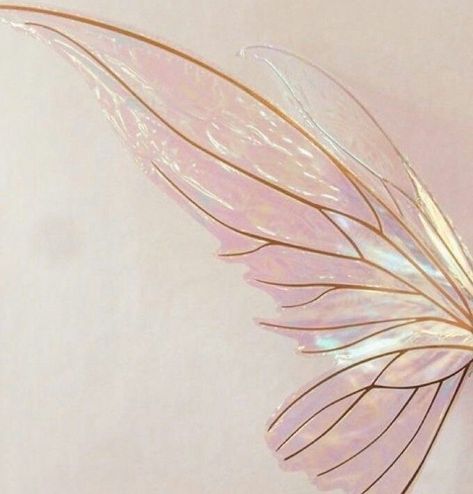 Pink Fairy Wings Aesthetic, Fairy Wings Aesthetic, Flora Aesthetic, Pixie Aesthetic, Pink Fairy Wings, Wallpers Pink, Pixie Wings, Butterfly Fairy Wings, Fairycore Aesthetic