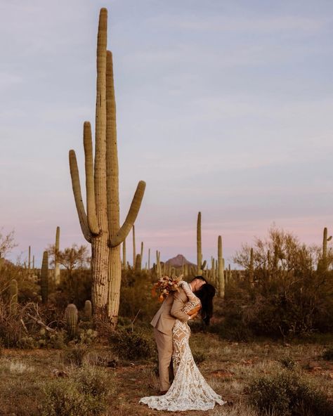 📍 Now booking in ARIZONA with NO TRAVEL FEES for all of March + April of 2025 🏜️ 🌵 Desert Elopement Arizona, Tuscan Arizona, Superstition Mountains Arizona, Red Rock Wedding, Mountain View Weddings, Sunset Elopement, Arizona Elopement, Saguaro National Park, Boho Desert