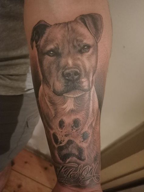 Staffie Tattoo Ideas, Dog Tattoo Sleeve Ideas, Portrait Dog Tattoo, Dog Tattoo Ideas For Men, Men Dog Tattoo, Dog Portrait Tattoo Sleeve, Pitbull Portrait Tattoo, Dog Portraits Tattoo, Passing Dog Tattoo