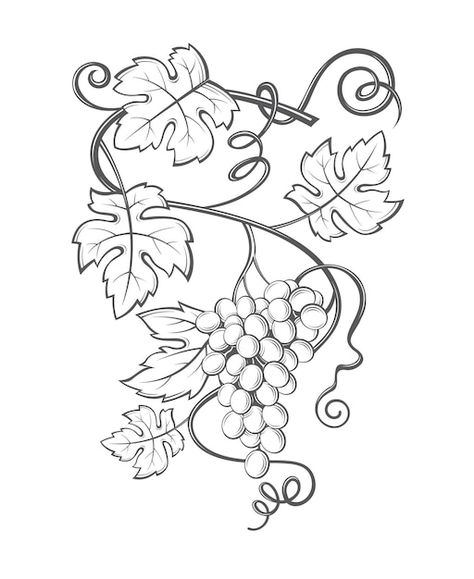 Grape Drawing, Grape Tree, Vine Drawing, Grape Painting, Pencil Drawings For Beginners, School Murals, Vine Tattoos, Vine Leaves, Leaf Drawing