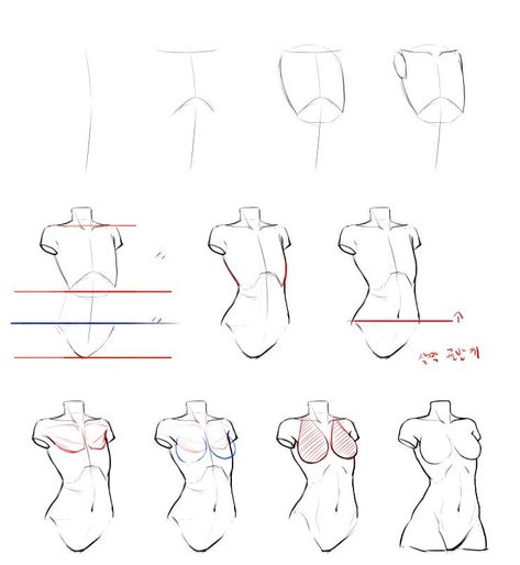 Drawing Anime Bodies, Female Anatomy Reference, Human Body Drawing, Drawing Female Body, Couple Drawing, Drawing Eyes, Anatomy Tutorial, Drawing Hair, Female Torso