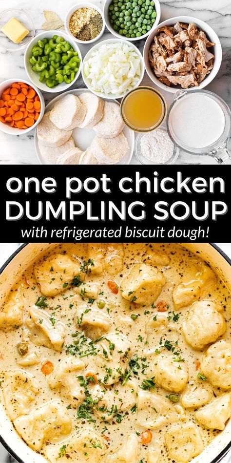 Crockpot Soup Rotisserie Chicken, Chicken Dumpling Soup With Rotisserie Chicken, Creamy Chicken Soup With Dumplings, Soup Recipes Chicken Dumpling, Cozy Cook Chicken And Dumplings, Soups That Have Chicken, Croc Pot Chicken Dumplings, Chicken Soup With Biscuit Dumplings, Chicken Dumpling Soup Healthy