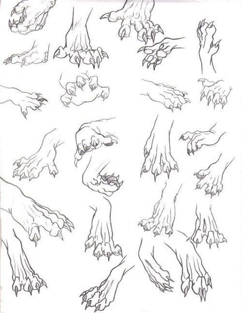 Dragon feet How To Draw Anthropomorphic Animals, Creature Anatomy, Creature Reference, Dragon Poses, Paw Drawing, Art Bases, Drawing Bases, Drawing Help, Dragon Sketch