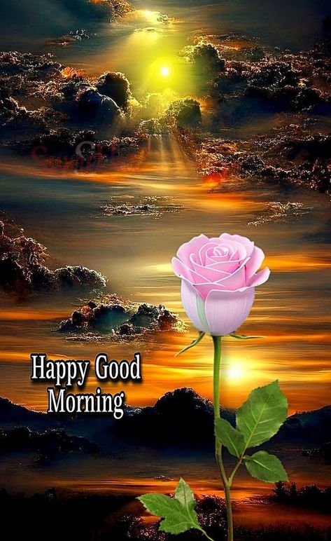 Good Morning Status, Good Morning Wishes Friends, Morning Gifs, Beautiful Good Morning Wishes, Good Morning Krishna, Daily Wishes, Latest Good Morning, Morning Status, Beautiful Good Morning