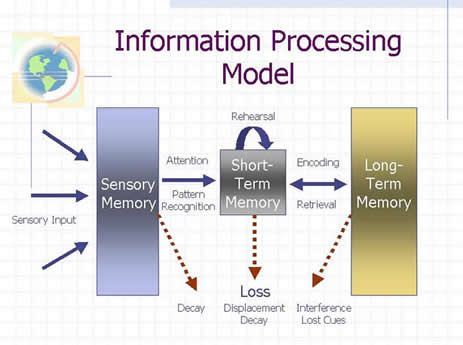 Hannah's Model Information Processing Theory, Teaching College, Third Grade Science, Cognitive Science, Architecture Quotes, Teaching Inspiration, Information Processing, School Psychologist, Educational Psychology