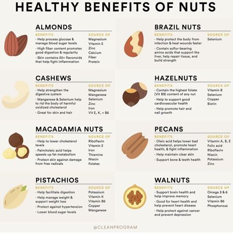 Hazelnut Benefits, Brazil Nuts Benefits, Nuts Health Benefits, Nut Benefits, Life Made Simple, Curb Appetite, Healthy Nuts, Healthy Benefits, Holistic Nutrition