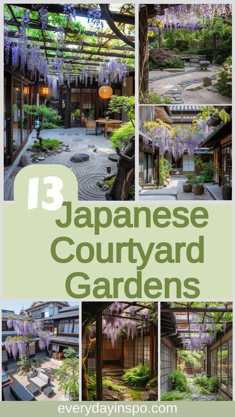 Embrace serenity in these calm Japanese courtyard gardens. Japanese Container Garden, Japanese Maple Tree Landscape, Japanese Courtyard Garden, Japanese Garden Backyard, Japanese Courtyard, Small Japanese Garden, Japanese Garden Landscape, Courtyard Gardens, Zen Garden Design