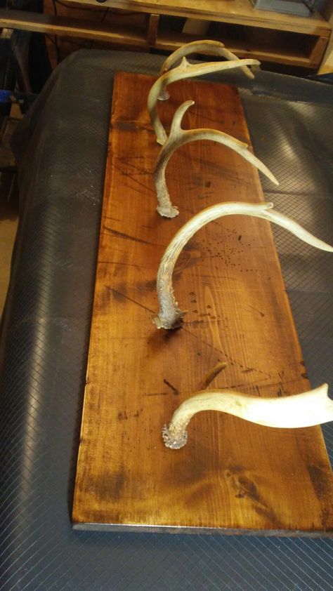 Deer Antler Coat Hanger Repurpose Deer Antlers, Antler Coat Hanger, Deer Horn Decor, Horn Decor, Antler Projects, Animal Mounts, Deer Antler Decor, Antler Decor, Horns Decor