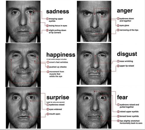 Research by Dr. Paul Eckman tells us that there are 6 basic facial expressions that even blind people make the same faces to express the same emotions. These are: surprise, fear, disgust, anger, sadness and joy. While the facial expression of joy and sadness are distinct, fear and surprise share the wide open eyes. Similarly, anger and disgust share the wrinkled nose. Reading Body Language, Face Reading, Lie Detector, How To Read People, Different Emotions, Good Listener, Lie To Me, Face Expressions, Human Face