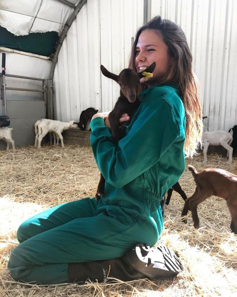 Farm Animal Vet Aesthetic, Large Animal Vet Aesthetic, Vet Life Aesthetic, Farm Vet Aesthetic, Livestock Veterinarian Aesthetic, Vetenarian Aesthetic, Female Veterinarian Aesthetic, Vet Nurse Aesthetic, Aesthetic Vet Pictures