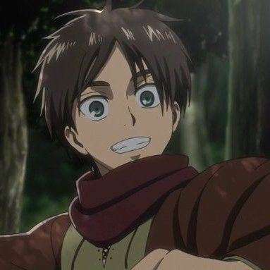 Eren Pfp, Erin Attack On Titan, Jaeger Bomb, Aot Eren, Ichigo And Rukia, Eren Aot, Anime Hands, Akira Kurusu, Aot Characters