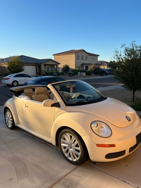 Xe Ducati, Volkswagen Beetle Convertible, Bug Car, Vw Sedan, Car Deco, Beetle Car, Beetle Convertible, Girly Car, Car Volkswagen