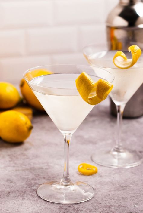 Vodka Martini With A Twist, Vodka Martini Recipes, Dry Gin Martini, Martini With A Twist, Best Martini Recipes, Dirty Martini Recipe, Sweet Martini, Martini Recipes Vodka, Gin Martini