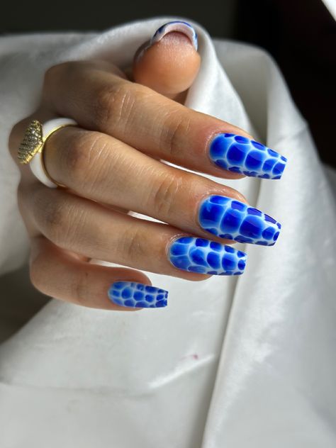 Blue Snake Skin Nails, Blue Alligator Nails, Blue Croc Print Nails, Alligator Nails Designs, Blue Snake Nails, Snake Pattern Nails, Blue Crocodile Nails, Snake Print Nails Acrylic, Blue Croc Nails