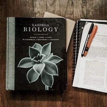 Science Academia Aesthetic, Biology Student Aesthetic, Science Academia, Ellie Sattler, Campbell Biology, Biology Student, Biology Major, Student Aesthetic, Academia Aesthetics