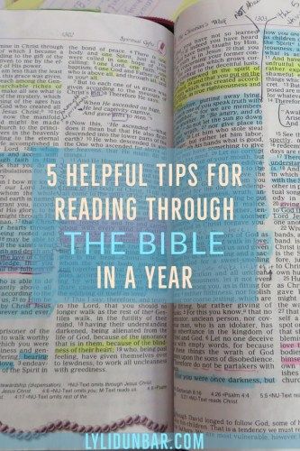 Bible In A Year Plan, Tips For Reading, Prayer Journal Template, Year Bible Reading Plan, One Year Bible, Bible In A Year, Free Bible Study, Understanding The Bible, Bible Study Tips