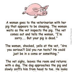 A woman goes to the Vet with her pig that appears to be sleeping. The woman waits as the vet inspects the pig. The Vet comes out and tells her.. -funny joke Humour, Funny Animal Stories, Funny Clean Humor, Clean Jokes Hilarious Christian Humor, Jokes To Tell Friends, Funny Jokes To Tell Humor Friends, Clean Jokes Hilarious, Funny Kids Stories, Pig Jokes