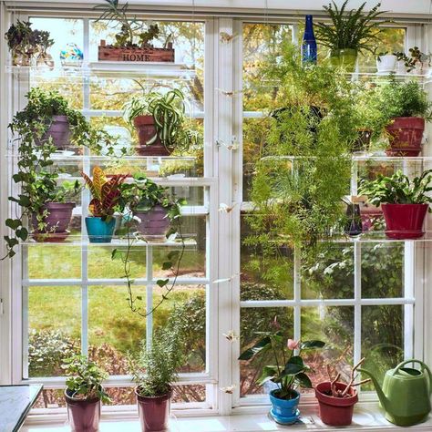 Window Plant Shelf, Plant Window, Window Plants, Support Pour Plante, Window Shelves, Indoor Window, Hanging Plants Indoor, Support Plante, Plant Shelf