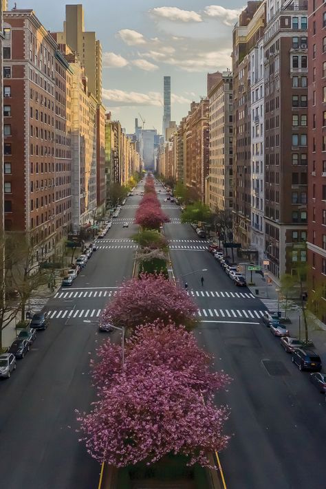 Nyc Upper East Side, Nyc Aesthetic, New York Life, New York Aesthetic, Upper East Side, Nova York, Concrete Jungle, Park Avenue, City Aesthetic