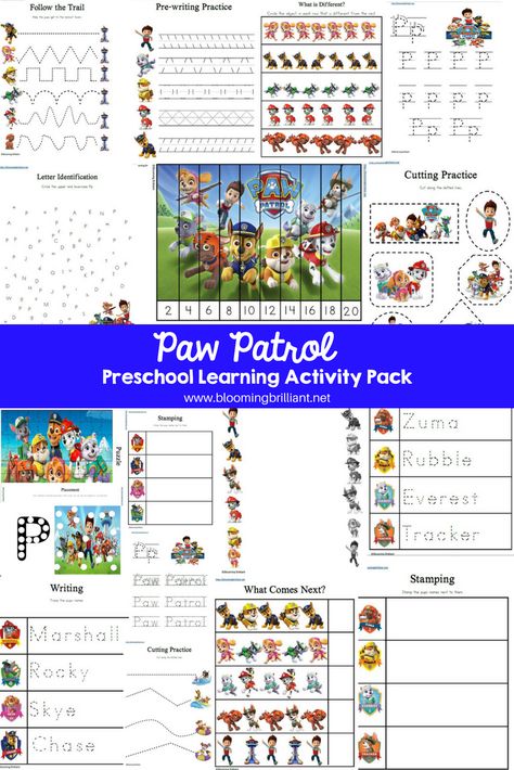 Paw Patrol Preschool Printables, Paw Patrol Learning Activities, Paw Patrol Learning Printables, Paw Patrol Worksheets Free Printables, Paw Patrol Activities For Toddlers, Paw Patrol Preschool Activities, Paw Patrol Worksheets, Free Printable Paw Patrol, Printable Paw Patrol