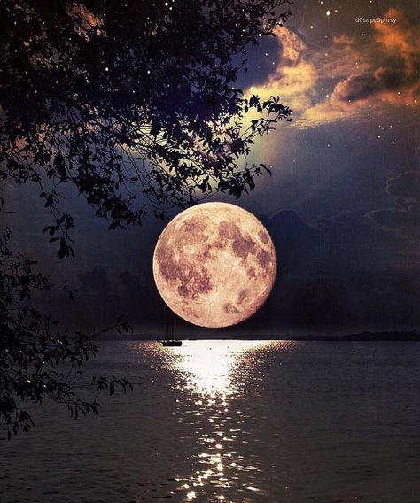 Full Moon Regnul Animal, Shoot The Moon, Moon Pictures, 수채화 그림, Image Editor, Beautiful Moon, The Full Moon, Harvest Moon, Moon Goddess