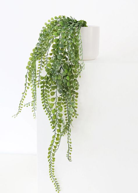 Tall Fake Plants, Bathroom Plant, Red Bathroom Accessories, Button Fern, Hanging Indoor Plants, Hanging Ferns, Fake Hanging Plants, Plant Styling, Plant In Pot