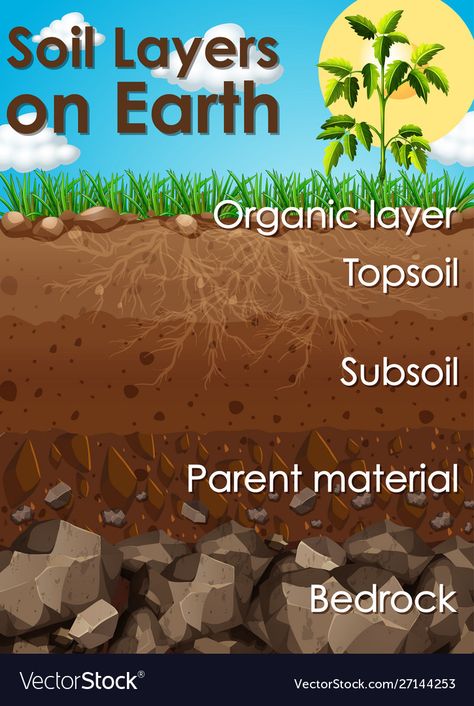 Soil Classification, Earth Vector, Ag Education, Earth Science Lessons, Earth Layers, Nature Education, Earth Illustration, Earth And Space Science, Environmental Education