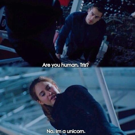 See.. THIS.. THIS is what she should have said. Come on, Veronica. Get with the program, girl! XD A Unicorn, Divergent, In Love, Human, Memes, Frame, Red