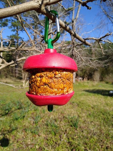 A red Stall Snack horse toy with DIY Likit refill treat made of oats, flax, barley, and egg. Homemade Horse Toys, Diy Horse Boredom Toys, Diy Horse Stalls Toys, Horse Toys Diy, Horse Enrichment Ideas, Equine Enrichment, Horse Enrichment, Diy Horse Toys, Toys For Horses