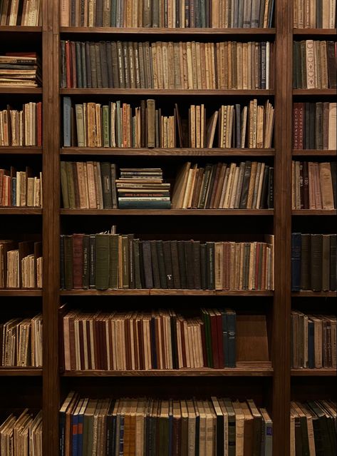 Smell Of Old Books, Fall Mood Board, Library Aesthetic, Books Aesthetic, Dark Academia Aesthetic, The Secret History, Academia Aesthetic, Autumn Aesthetic, Old Books