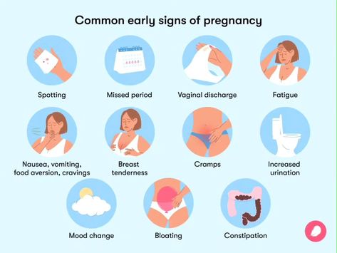 Are you experiencing unusual changes in your body and wondering if there’s a chance you might be pregnant? Unlocking the mystery of early signs and symptoms of pregnancy....read our full article here https://smartparentguides.com/early-signs-and-symptoms-of-pregnancy/ #PregnancySymptoms #EarlyPregnancySigns #PregnancyJourney #PregnancyTips #PregnancyAwareness #PregnancyHealth #ExpectingMoms #PregnancyInfo Pregnancy Spotting, Pregnancy Signs And Symptoms, Symptoms Of Pregnancy, Early Pregnancy Signs, Pregnancy Info, Early Pregnancy, Pregnancy Signs, Mood Changes, Pregnancy Health