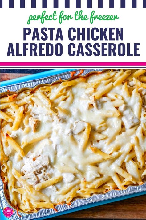 This pasta chicken alfredo freezer casserole recipe has been in my family for multiple generations. With just seven ingredients, this is the perfect make ahead meal that you can store in your freezer for up to six months! I recommend doubling (or even quadrupling) the recipe to make sure your freezer is stocked for a quick and convenient weeknight meal that is comfort food at its finest. Yum! Chicken Freezer Casserole Recipes, Shredded Chicken Freezer Casserole, Freezer Meal Chicken Alfredo, Chicken Divan Freezer Meal, Shredded Chicken Recipes Freezer Meals, Easy Casserole Recipes For Dinner Make Ahead Freezer Cooking, Chicken Wing Freezer Meal, Freezer Chicken Alfredo Bake, Freezer Pasta Meals Make Ahead