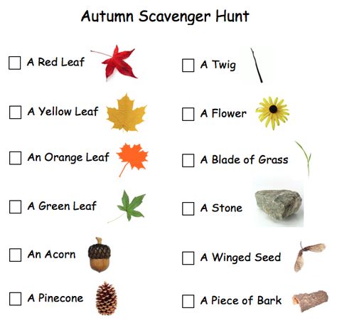 From Chalkboards To Strollers: Autumn Scavenger Hunt For Toddlers and Pre-Schoolers Autumn Scavenger Hunt, Fall Scavenger Hunt, Tree Study, Fall Preschool, Outdoor Learning, Autumn Crafts, Theme Halloween, Autumn Activities, Scavenger Hunt