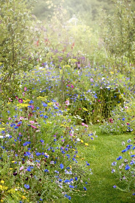 Front Yard Garden Design, Grandmas Garden, English Cottage Garden, Wildlife Gardening, Wildflower Garden, Front Yard Garden, Colorful Garden, Landscaping Plants, English Garden