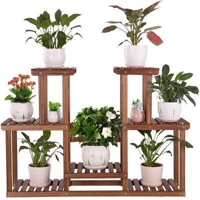 Plants Rack Outdoor, Bamboo Pot, Bamboo Plant Stand, Indoor Bamboo, Bamboo Outdoor, Bamboo In Pots, Support Pour Plante, Plant Stands Outdoor, Bamboo Plant